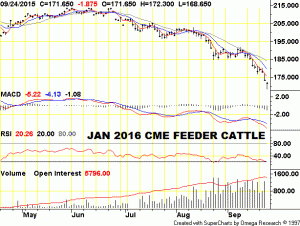 feeder cattle jan 2016
