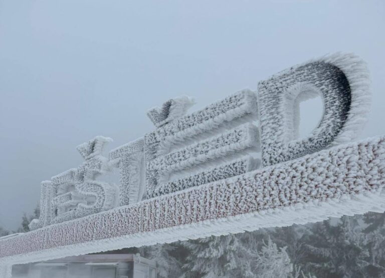 marketingove-trefy-a-minely-2019