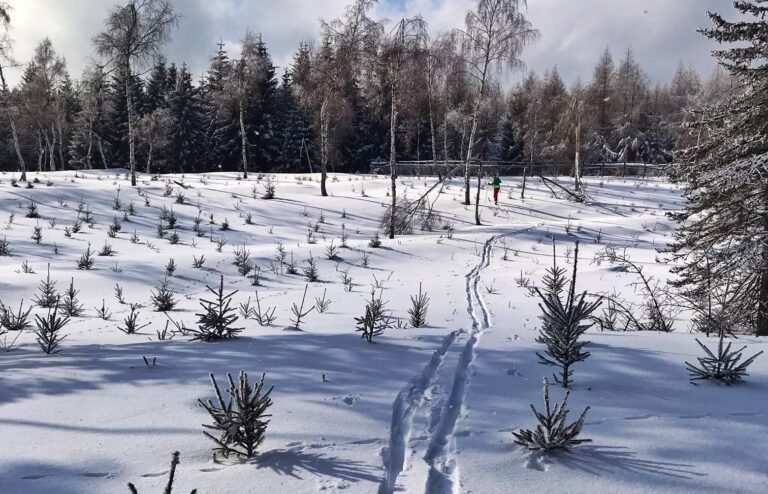 backcountry-2022-pryc-pryc-pryc