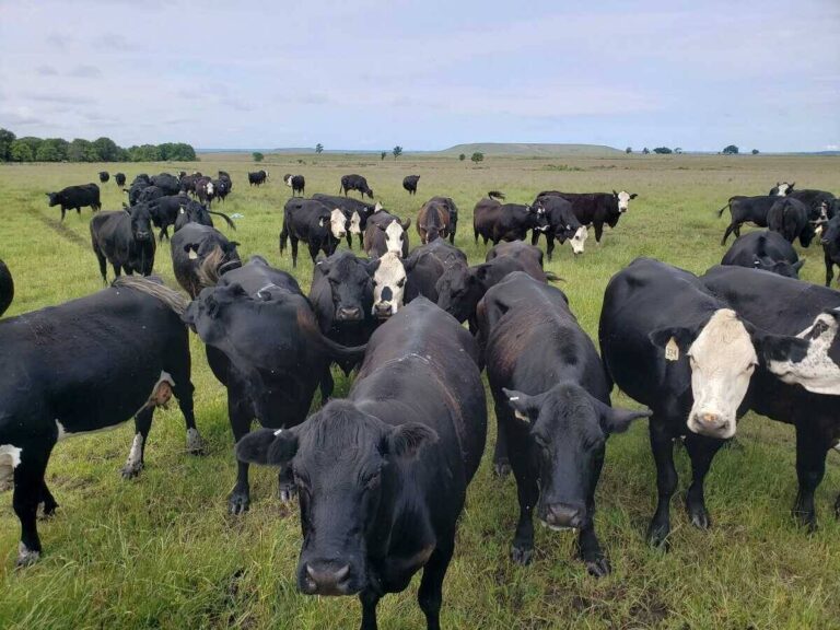 Drummond Ranch, OK, Tom Řepík, Kovboj.cz